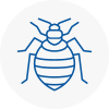 Bed Bug Extermination In Cardiff Bay