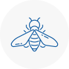 Bee Nest Removal Cardiff Bay