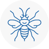 Cardiff Bay Hornet Nest Removals