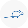 Mice Exterminators In Cardiff Bay
