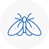 Moth Control Specialists In Cardiff Bay