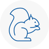 Cardiff Bay Rodent Removals