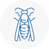 Cardiff Bay Wasp Nest Removal